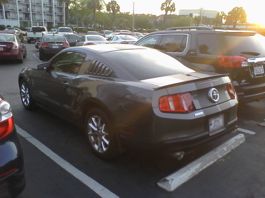 18195473_733728630141778_1543523960_o