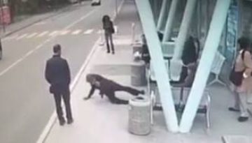 18578903_1697481443610222_1000948834_n