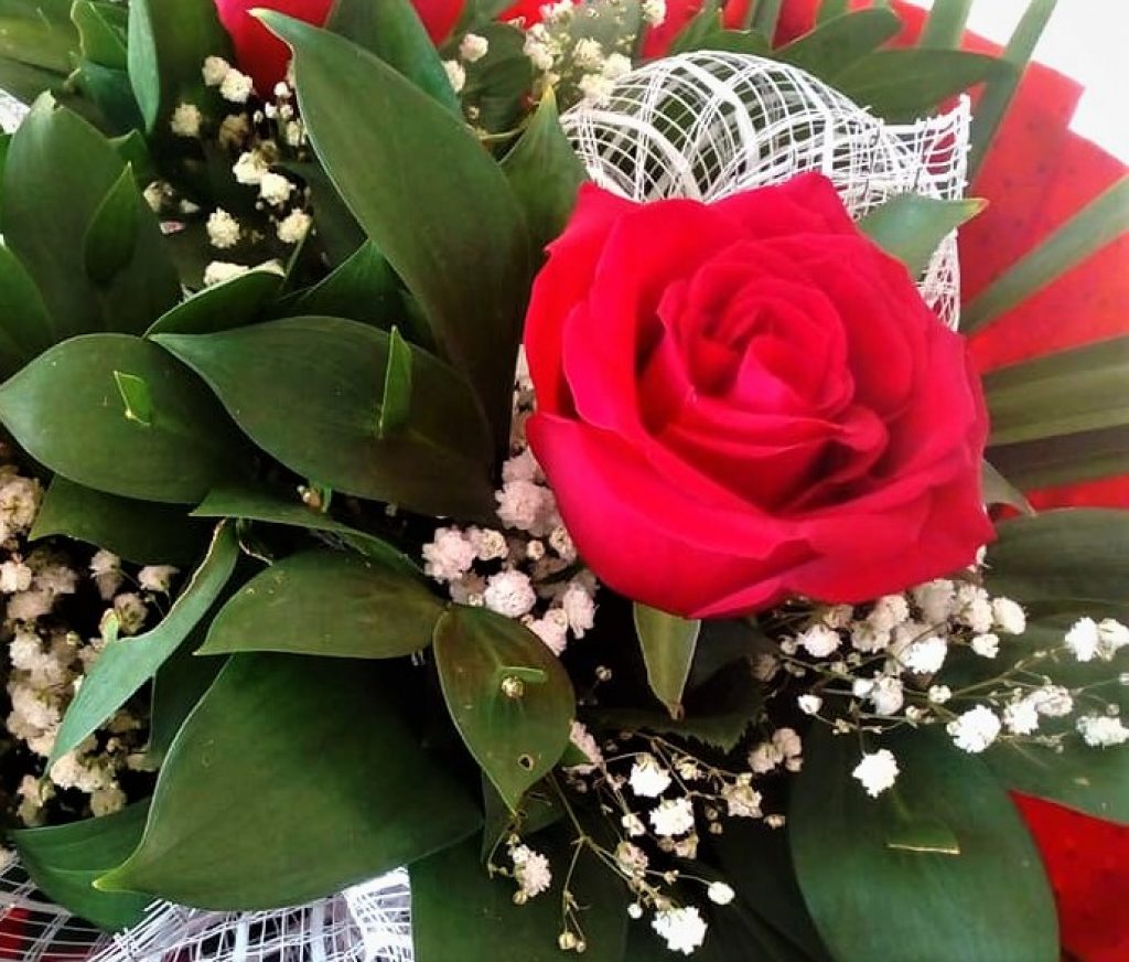 44878501_1898948846809515_4170852125649141760_n