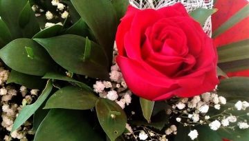 44878501_1898948846809515_4170852125649141760_n