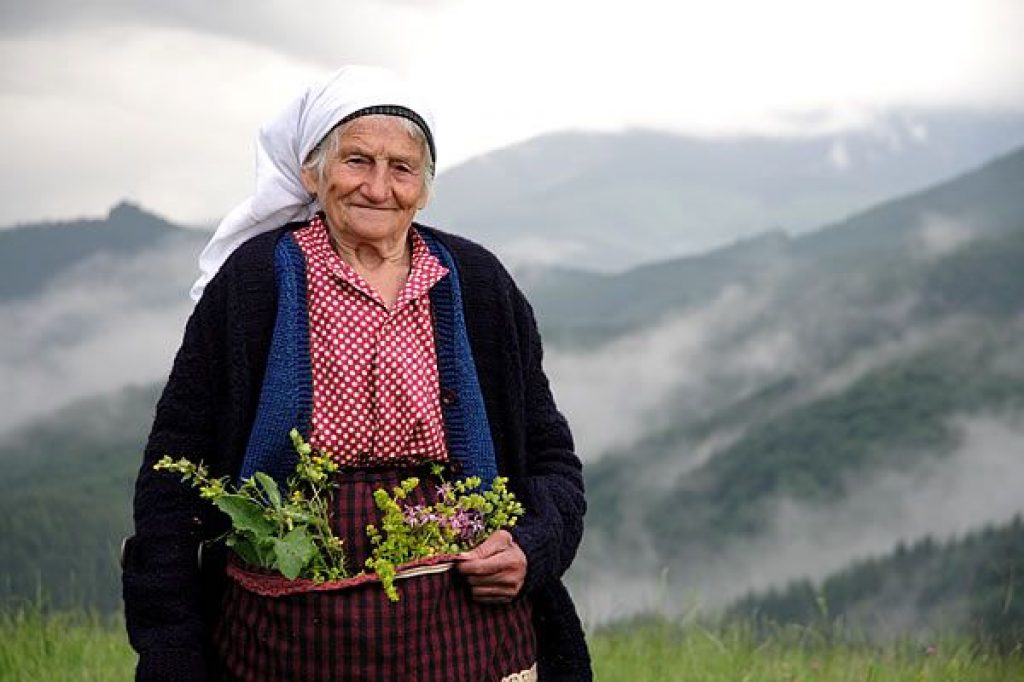 7a613ade5631a1f394a6b126e5a4b70b