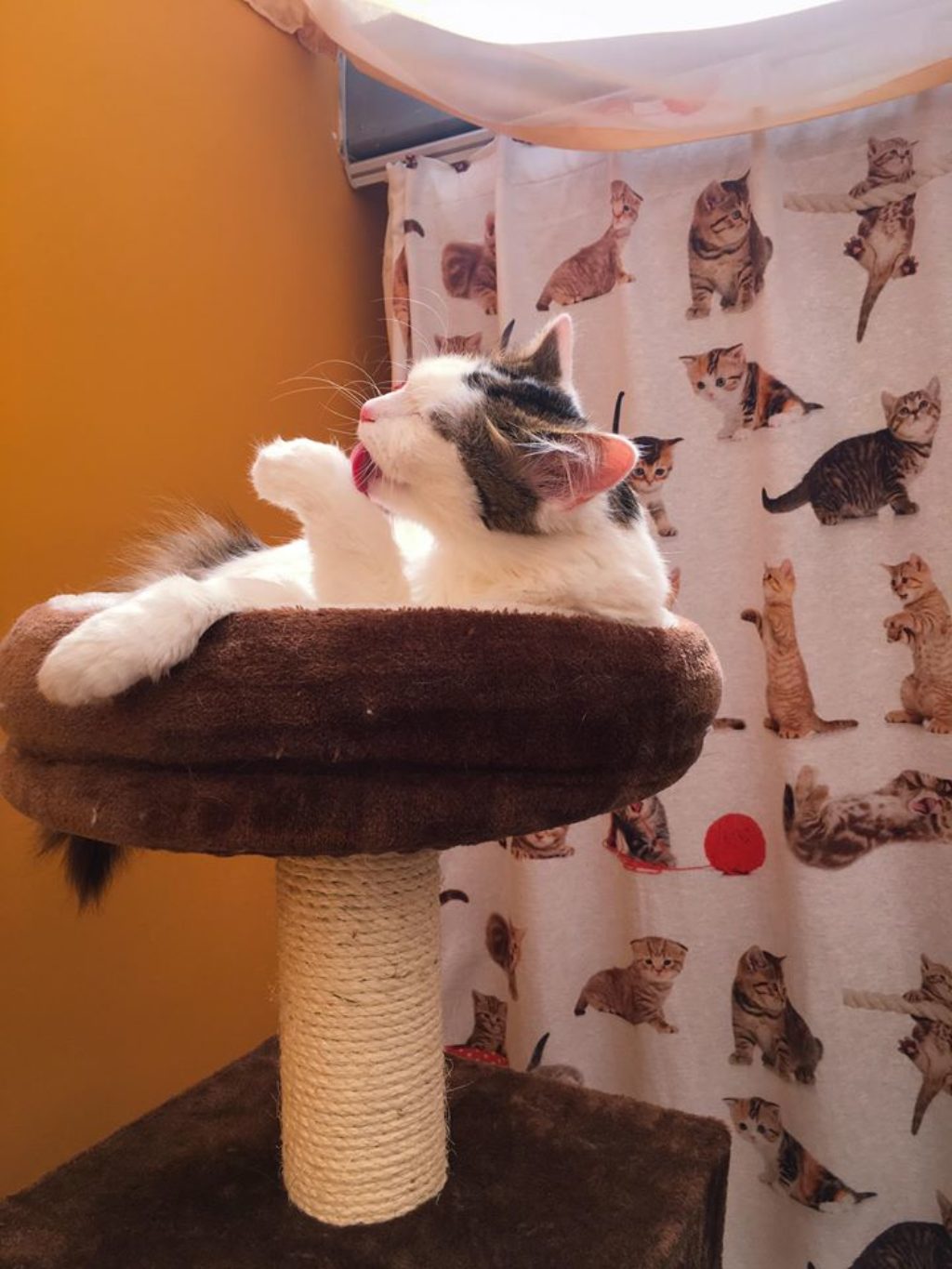 57503657_780313702353889_8614561857165852672_n