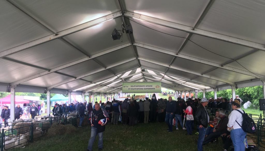 60129473_2294735240798284_1292166393042567168_n